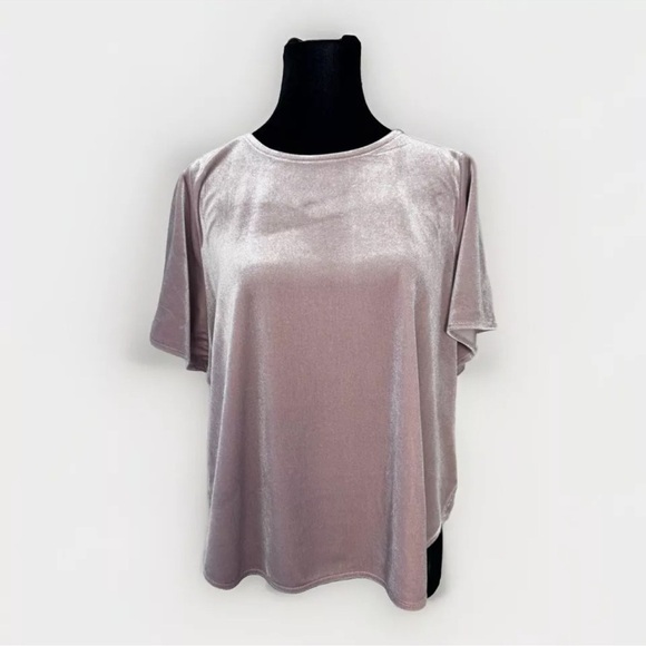 Madewell Top M Pink Velvet Stretch Butterfly Short Sleeve Blouse Boxy Fit Soft - Picture 1 of 7
